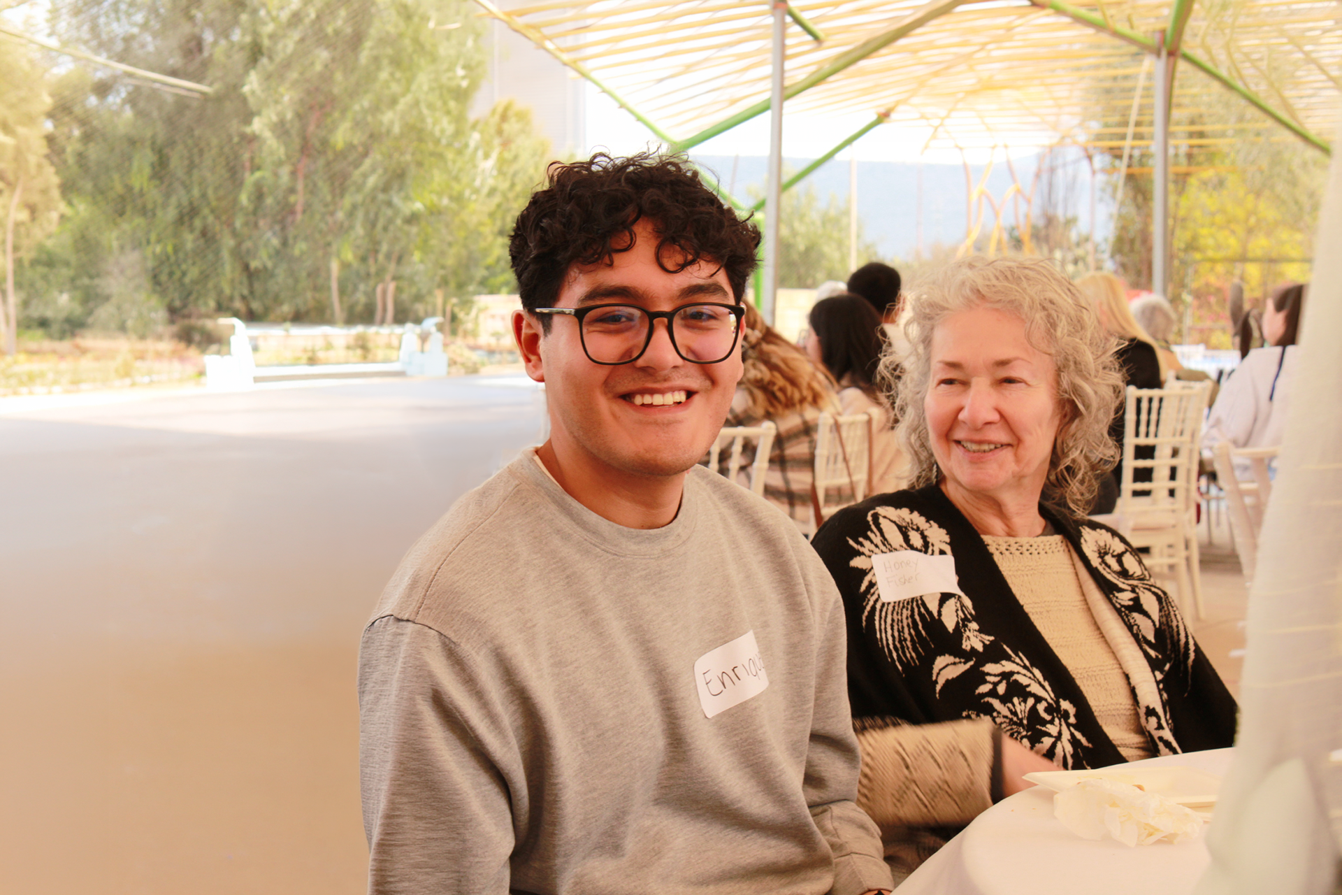 snow fox on snowfield
